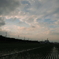 田と空