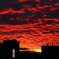 夕日