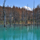 ＢＬＵＥ　ＰＯＮＤ