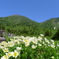 岩手山