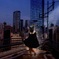 Cats night++