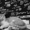 ねこ日和１