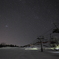 winter star