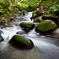 沢の風景1