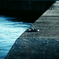 On The Breakwater