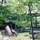建仁寺のお庭
