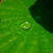 雨上がり