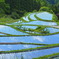 棚田の青空