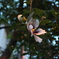 photo_1939889