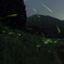 大野　ホタル３