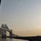 淡光