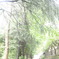 通学路