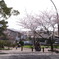 R0010510