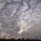 R0010415