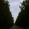R0010421
