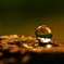 bead of truth
