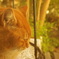 photo_1944409