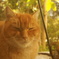 photo_1944410