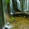 白糸の滝