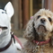 犬と犬の模型