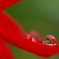 水玉２