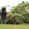 緑と子供