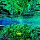 reef