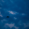 薄暮のC-130