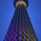 Tokyo Sky Tree