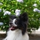 photo_1950598