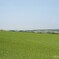上富良野町千望峠 2012
