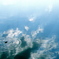 DSC00357