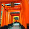 １本、２本・・・