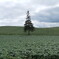 DSCN1422