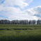 DSCN1432