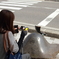 どんな風に・・・