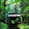 大雄寺　山門　再