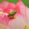 DSC_4057_edited-1