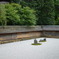 龍安寺１