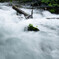 20120714-IMGP2645