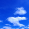 skyblue