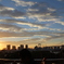 お台場からの夕日