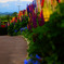 color
