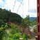 夏の吊り橋
