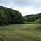 Winding