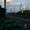 Daily railway but strange color.