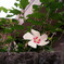 dsc00102_副本
