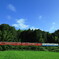 地元の鉄道風景「のんびりと」