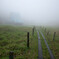 Mountain cottage in the fog