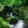 緑渓の中で